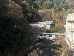 -月光园游月山庄