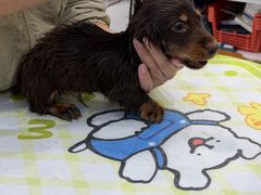 -它主义宠物(梁溪万达店)