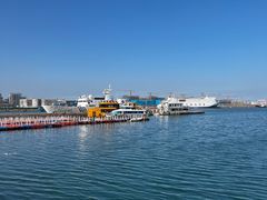 -烟台海昌鲸鲨海洋公园