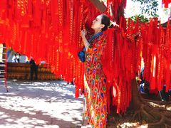 -西双版纳勐泐文化旅游区