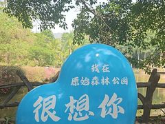 -西双版纳原始森林公园