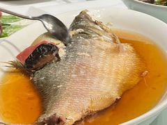 鸡汁花雕火腿蒸鲥鱼-瑞福园联谊餐室(茂名南路店)