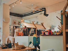 -小时光咖啡馆(开森度假森林店)