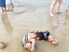 -汕尾风车岛