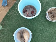 -海宁煲农家菜(惠南镇店)