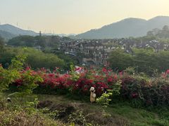-白石龙音乐公园
