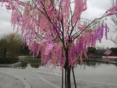 -上海杨姆庄园