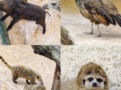 -福州罗源湾海洋世界旅游区