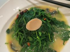 上汤桑叶-巴扎美食·新疆菜·西域歌舞表演餐厅(新疆大厦店)