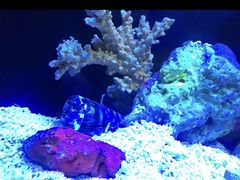 -上海海洋水族馆