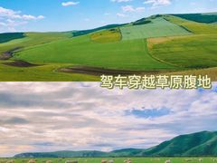 -呼伦贝尔大草原