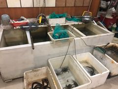 水产区-小本鸡饭店(滨江白马湖店)