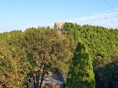 -原山国家森林公园