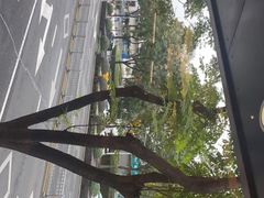 -阿毛饭店(和义路店)