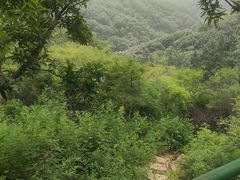 -老象峰