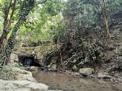 -广州市白云山风景名胜区