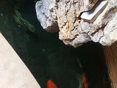 -御泉足浴SPA养生会所