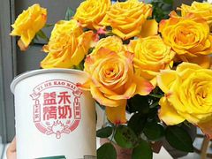 禾风奶绿-益禾堂(黄河交通学院店)