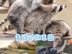-长鹿旅游休博园