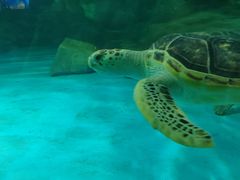 -常州海昌海洋探索馆