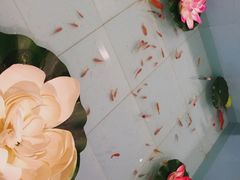 -同喜烤鸭店(光芒店)