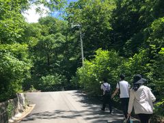 -天女山森林公园