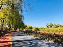 -大兴滨河森林公园