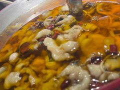 -雲蜀龙阁·金牌水煮鱼(方庄店)