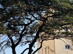 -青岛德国总督楼旧址博物馆