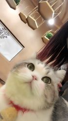 -杨丹国际美学肌研所