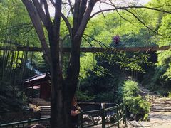 -众神白水涧景区