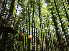 -山王坪喀斯特国家生态公园