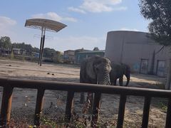 -鄂尔多斯野生动物园