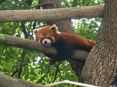 -常州淹城野生动物世界