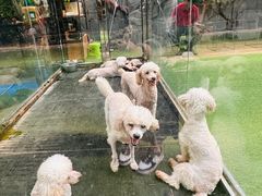 -呀路古热带植物园