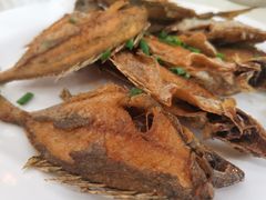 -秋姐美食店(旅游大道店)