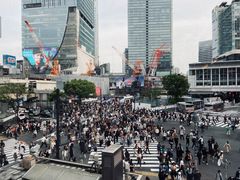 -涩谷全向十字路口