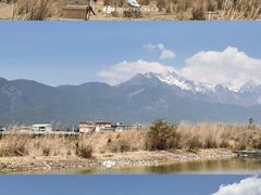 -丽江植物园