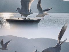 -海埂大坝