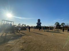 -上海长兴岛郊野公园