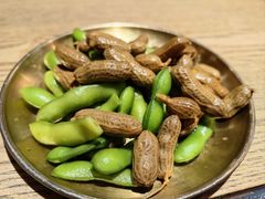 卤味花生毛豆-青花椒秘制烤鱼(光启城店)