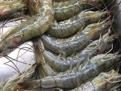 -马路牙子地桌烤肉(工体店)