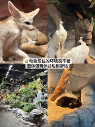 -Zoolung Zoolung动物主题公园(海信广场店)