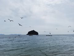 -棒棰岛宾馆景区