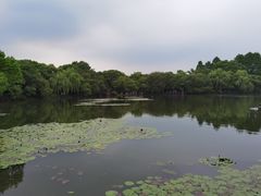-西湖游船