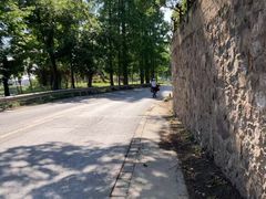 -上海佘山国家森林公园天马山园