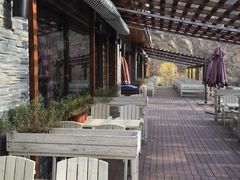 -Local泰莲庭(虹鳟鱼店)