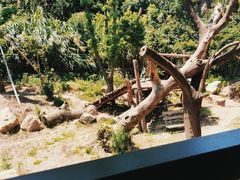 -宁波野生动物园