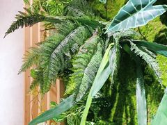 -澣花 四川火锅(新宿本店)