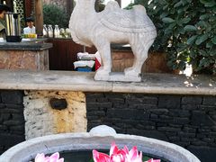 -芭东小镇温泉